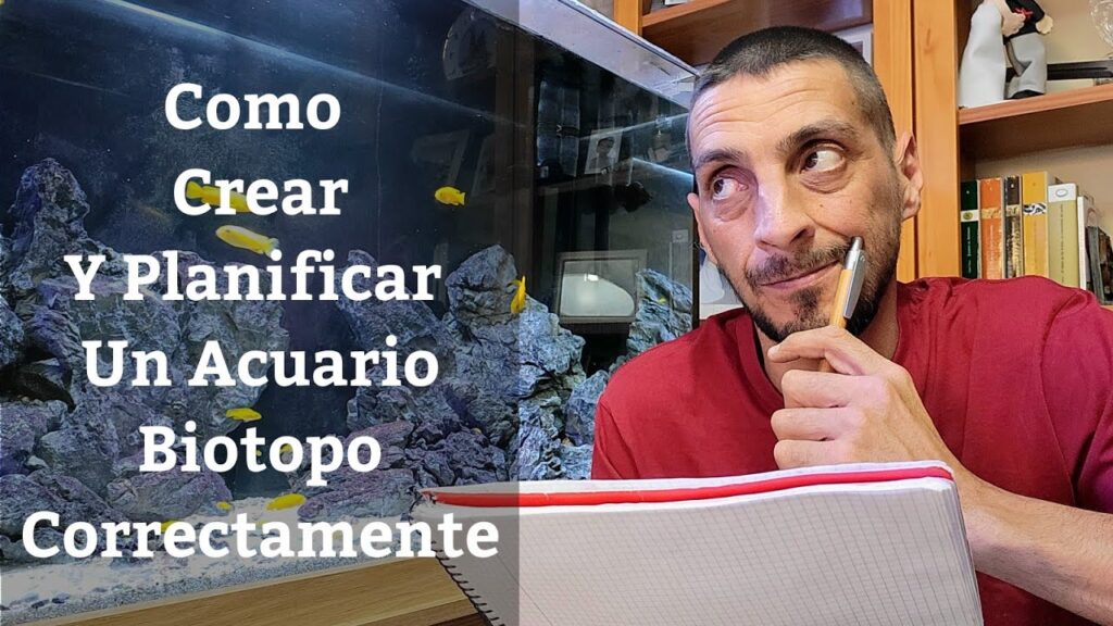 Descubre cómo crear biotopos únicos con acuarios temáticos